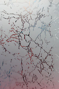 Образцы стекла - купить от производителя Мосдвери Образцы стекла